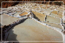 Salt ponds of Maras (Salinas) (88)