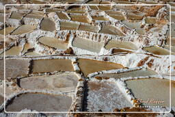 Salt ponds of Maras (Salinas) (91)