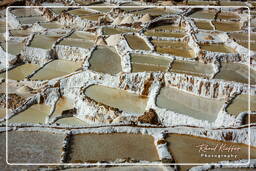 Salt ponds of Maras (Salinas) (93)