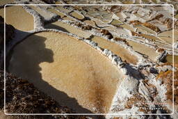 Salt ponds of Maras (Salinas) (97)