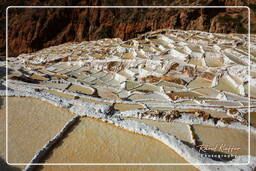 Salt ponds of Maras (Salinas) (101)