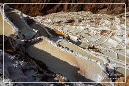 Salt ponds of Maras (Salinas) (102)