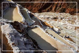 Salt ponds of Maras (Salinas) (104)