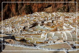 Salt ponds of Maras (Salinas) (107)