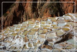 Salt ponds of Maras (Salinas) (108)