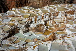 Salt ponds of Maras (Salinas) (109)