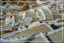 Salt ponds of Maras (Salinas) (110)