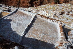 Salt ponds of Maras (Salinas) (113)