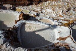 Salt ponds of Maras (Salinas) (117)