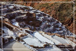 Salt ponds of Maras (Salinas) (122)