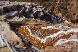 Salt ponds of Maras (Salinas) (124)