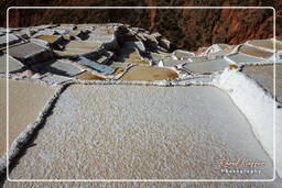 Salt ponds of Maras (Salinas) (129)