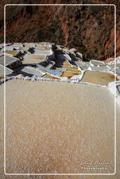 Salt ponds of Maras (Salinas) (131)