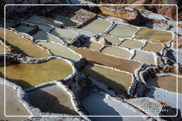 Salt ponds of Maras (Salinas) (134)