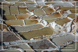 Salt ponds of Maras (Salinas) (136)