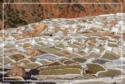 Salt ponds of Maras (Salinas) (137)