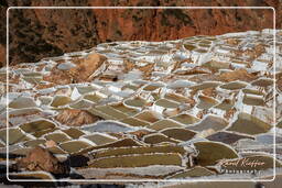 Salt ponds of Maras (Salinas) (137)