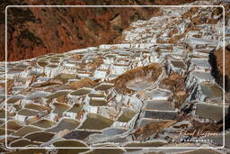 Marais salants de Maras (Salinas) (138)