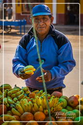 Between Pisco and Nazca (17)