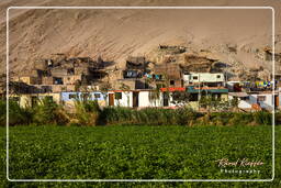 Entre Pisco et Nazca (20)