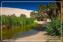 Huacachina (3)