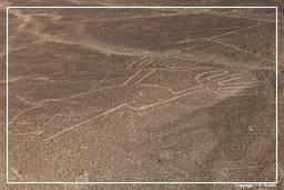 Nazca (5) Geoglyph - Las Manos
