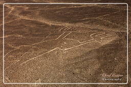 Nazca (5) Geoglyph - Las Manos