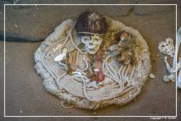 Nazca - Nekropolis von Chauchilla (71)
