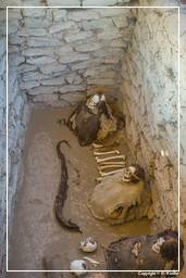 Nazca - Nekropolis von Chauchilla (108)