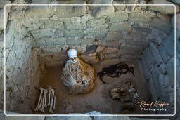 Nazca - Necropolis of Chauchilla (131)