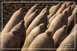 Pisco (4) Pisco Wine Amphorae