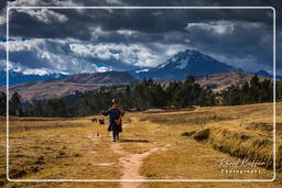 Chinchero (1)