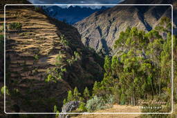 Chinchero (64) Ruines Incas de Chinchero