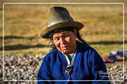 Chinchero (86)