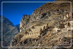 Ollantaytambo (7) Ruinen von Pinkuylluna