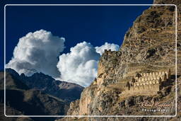 Ollantaytambo (12) Rovine di Pinkuylluna