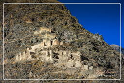 Ollantaytambo (20) Ruinen von Pinkuylluna