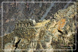 Pinkuylluna ruins, Ollantaytambo (32)