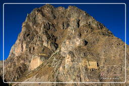 Ollantaytambo (37) Ruinen von Pinkuylluna