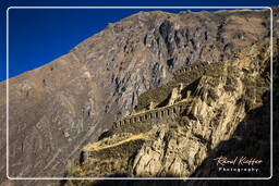 Ollantaytambo (38) Ruinen von Pinkuylluna