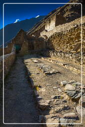 Ollantaytambo (48)