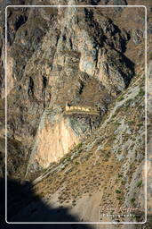 Ollantaytambo (59) Ruínas de Pinkuylluna