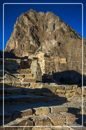 Ollantaytambo (78)