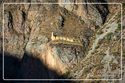 Ollantaytambo (84) Rovine di Pinkuylluna