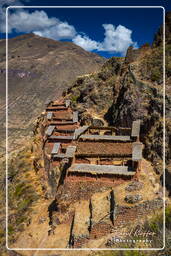 Pisac (180)