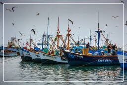 Reserva Nacional de Paracas (17) Porto de Paracas