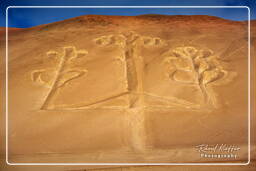 Paracas National Reservat (41) Geoglyphe El Candelabro