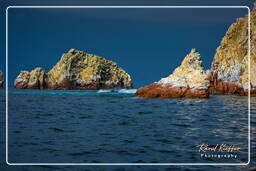 Reserva Nacional de Paracas (160) Islas Ballestas