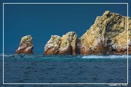 Riserva Nazionale di Paracas (166) Isole Ballestas