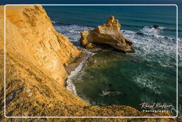 Reserva Nacional de Paracas (211) Punta Arquillo